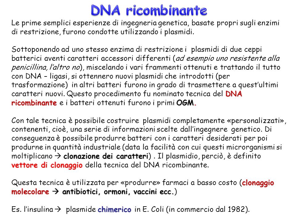 Le Biotecnologie Innovative Ppt Scaricare